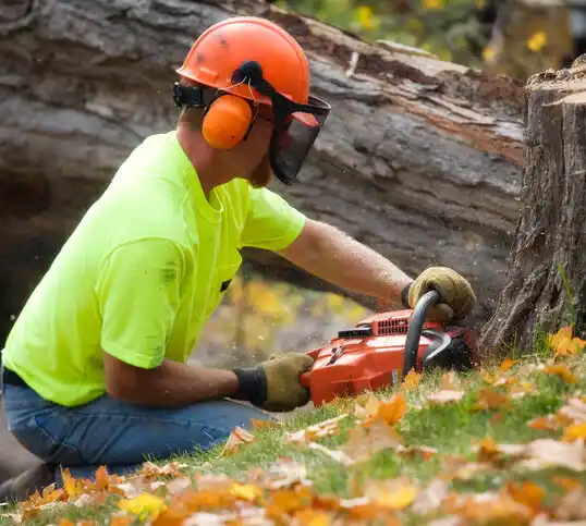 tree services Brigantine